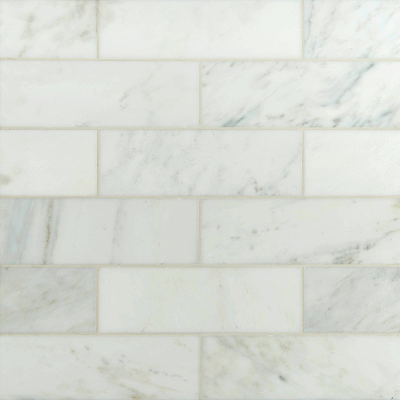 Carrara Marble 3 6 Subway Tile Migrant Resource Network Msi 3 X 6 Polished Marble Tile In Carrara White Reviews Wayfair