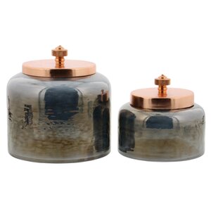 Panachee Glass 2 Piece Metallic Glossy Decorative Jar Set