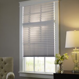 Wayfair Basics Room Darkening Pleated Shade