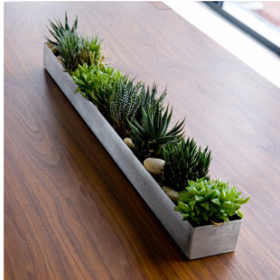 Long Indoor Planter Box | Wayfair Long Indoor Planter Box | Wayfair