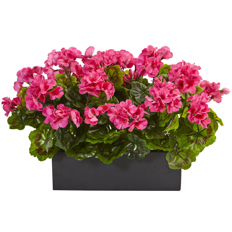 Red Barrel Studio Silk Geranium Plant Floral Arrangement in Planter