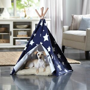 Teepee Dog Bed