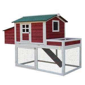 Hagerty Chicken Coop with Run Area and Nesting Box