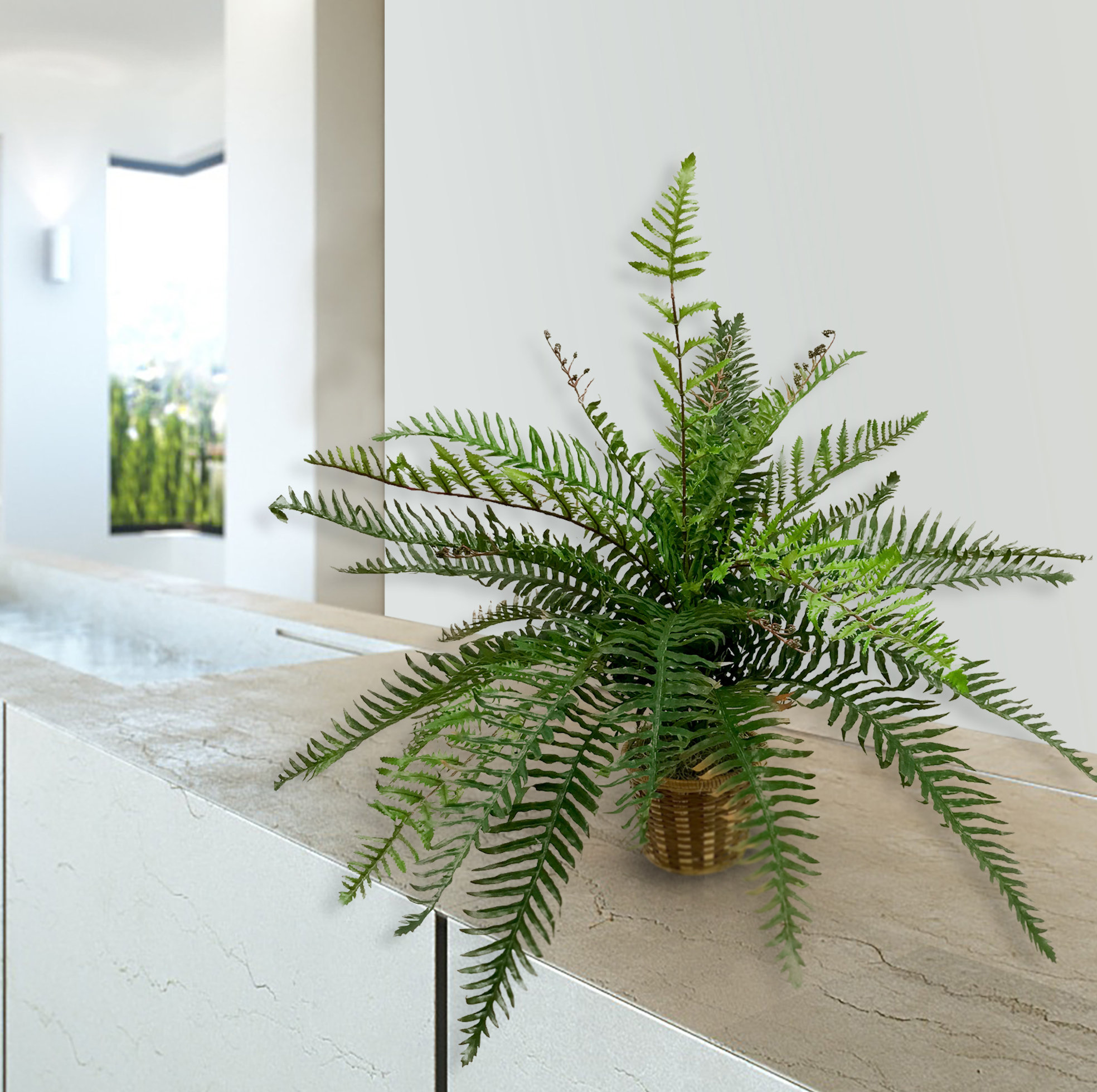 Gracie Oaks Real Touch River Fern Bamboo Plant In Basket Wayfair
