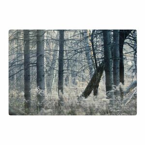 Chelsea Victoria Out of the Woods Photography Nature Area Rug