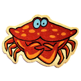 Winston Porter Amato Jolly Roger Non Slip Indoor Only Door Mat