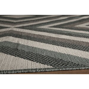 Wexler Indoor/Outdoor Area Rug