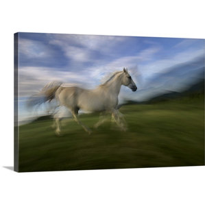 Wall Art Horses horse wall art | wayfair Wall Art Horses horse wall art | wayfair