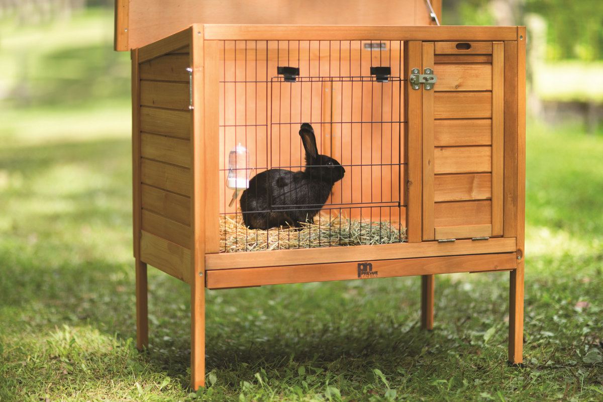 Prevue Hendryx Rabbit Hutch & Reviews Wayfair