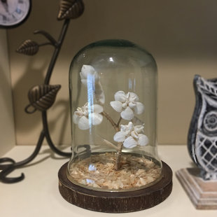 Large Gl Cloche Wayfair Cleremont Large Gl Cloche With Flower