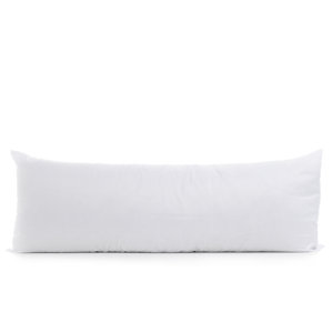 Body Pillow by Alwyn Home