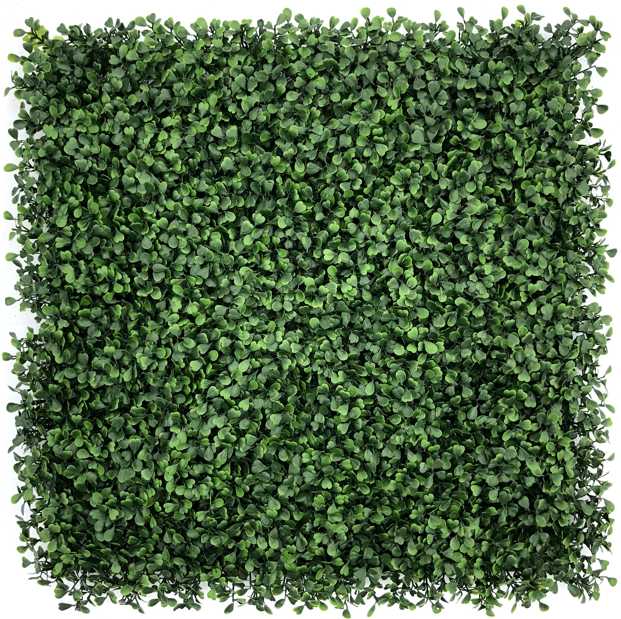 Freeport Park Outdoor Artificial Boxwood Hedge Wayfair