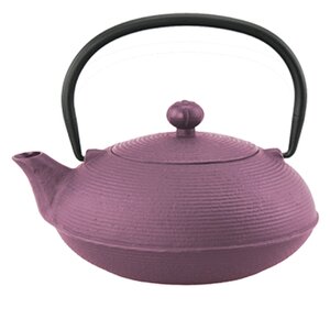 Kyusu 0.63-qt Cast Iron Teapot