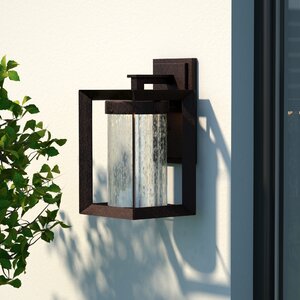 Trenton 1-Light Outdoor Wall Lantern