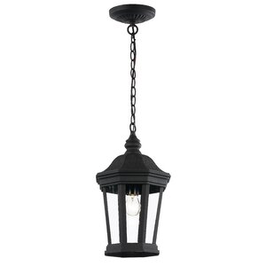 Windridge 1-Light Outdoor Hanging Lantern