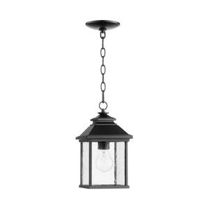 Hampstead 1-Light Clear Shade Outdoor Hanging Lantern