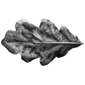 Leaves Novelty Knob