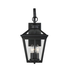 Coleg 2-Light Outdoor Wall Lantern