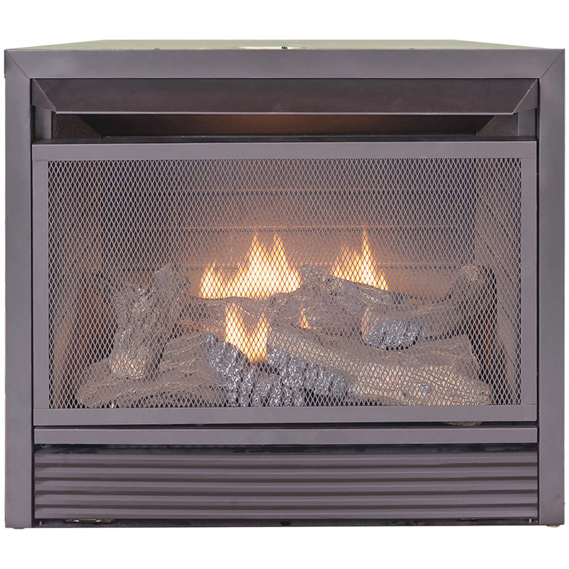 Duluth Dual Fuel Fireplace Insert & Reviews Wayfair