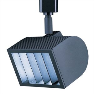 Wall Wash Luminaire Track Head