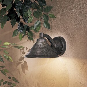 Sanmiguel 1-Light Outdoor Barn Light