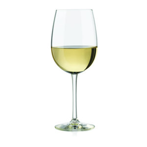 Vineyard Reserve Pinot Grigio 16 Oz. White Wine Glass (Set of 4)