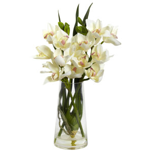 Cymbidium Orchid in Vase