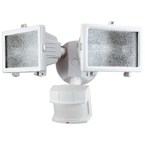 2-Light Floodlight