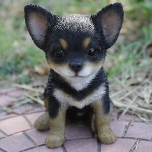 Black and Brown Chihuahua Puppy Statue