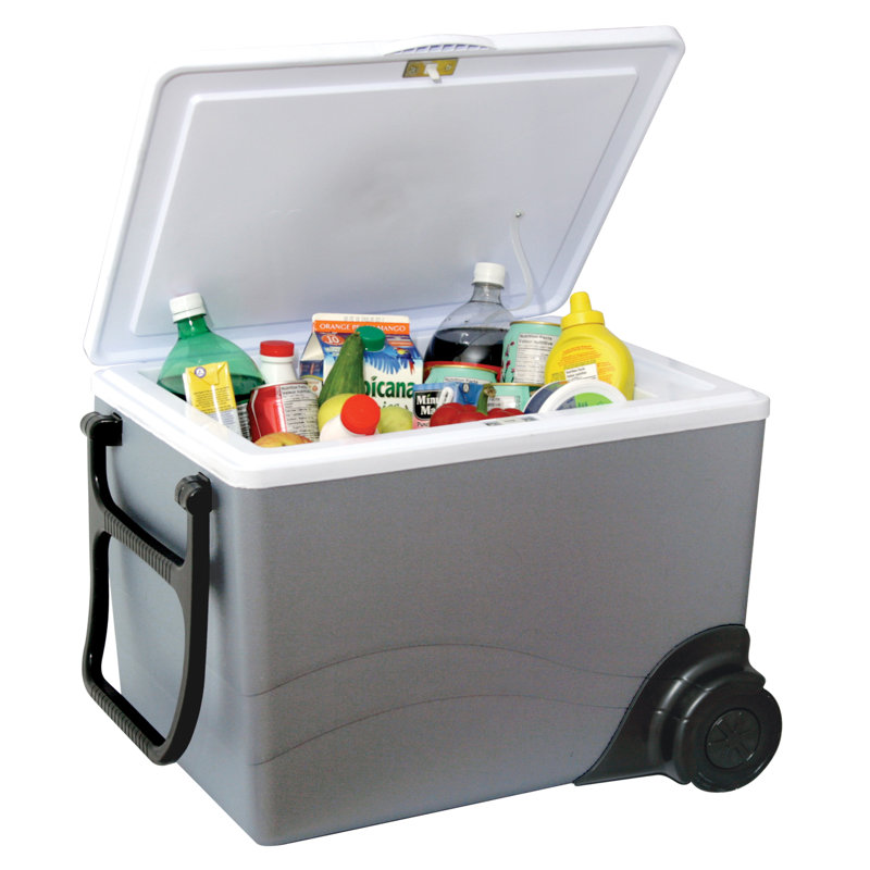 Koolatron 36 Qt. Kool Rolling Electric Cooler & Reviews Wayfair