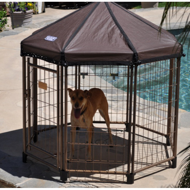 Advantek The Original Pet Gazebo & Reviews Wayfair