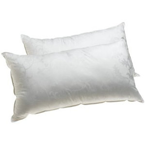 Dream Supreme Gel Fiber Queen Pillow (Set of 2) by Alwyn Home