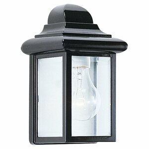 Retha 1-Light Outdoor Sconce