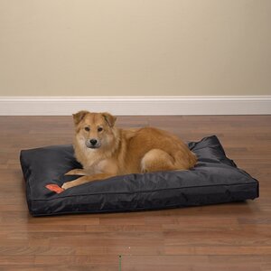 Tough Dog Mat