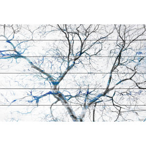 'Blue Branches' by Parvez Taj Painting Print on White Wood