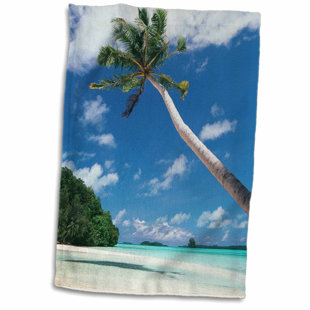 Tropical Beach Towels Wayfair Steps On Stones Palau Palm Trees Along Tropical Beach Hand Towel