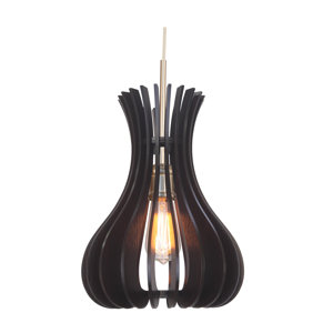 Canopy 1-Light Foyer Pendant