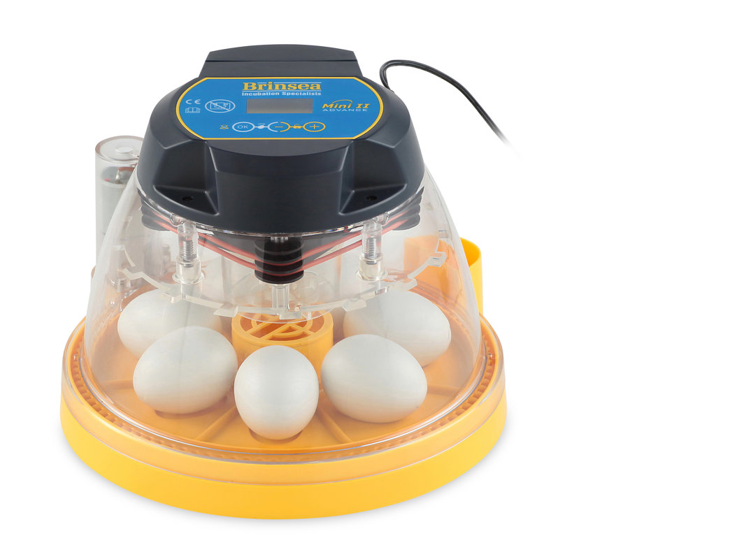 Brinsea mini ii advance automatic egg incubator