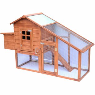 Chicken Coops Chicken Runs Houses Youll Love Wayfaircouk