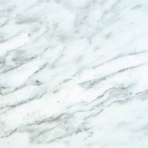 18'' x 18'' Marble Field Tile in Arabescato Carrara