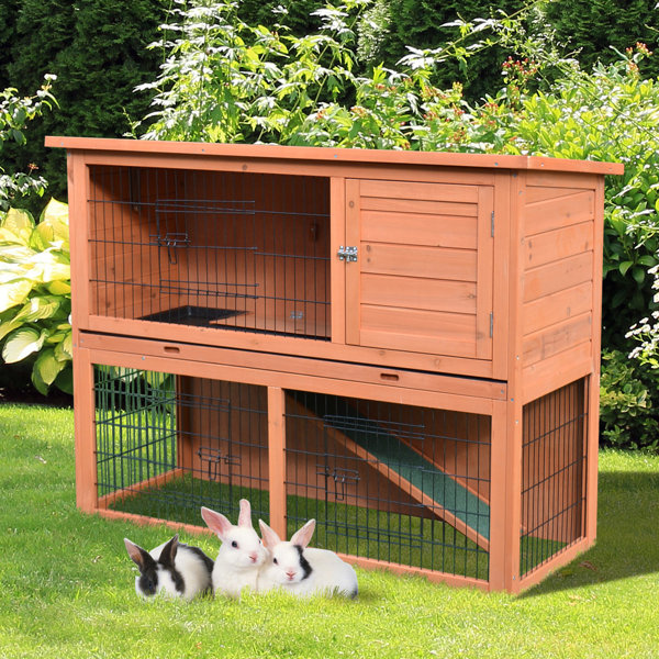 Tucker Murphy Pet Lenora Rabbit HutchBunny House with ...