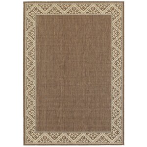 Albany Espresso Indoor/Outdoor Area Rug