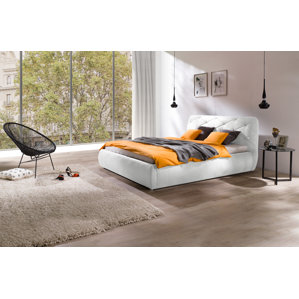 Shawn European Kingsize Upholstered Platform Bed by Orren Ellis