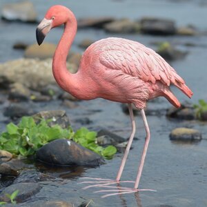 Flamingo Bird Statue