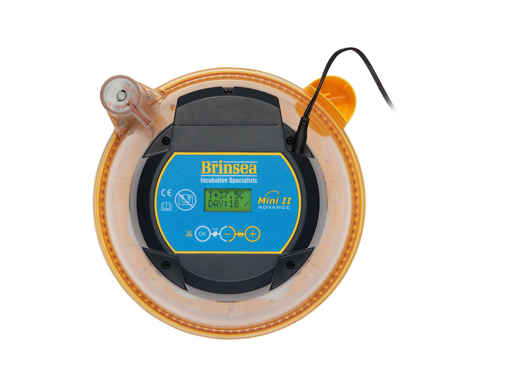 Brinsea Mini II Advance Automatic Chicken Egg Incubator ...