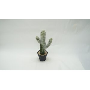 Cereus Cactus Faux Plant in Pot