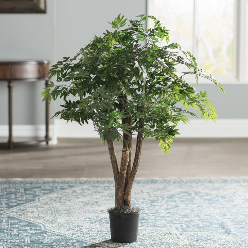 World Menagerie Floor Ficus Tree in Pot & Reviews Wayfair