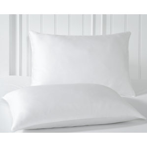 All Natural Feathers Standard Pillow (Set of 2) by Perfect Fit Industries