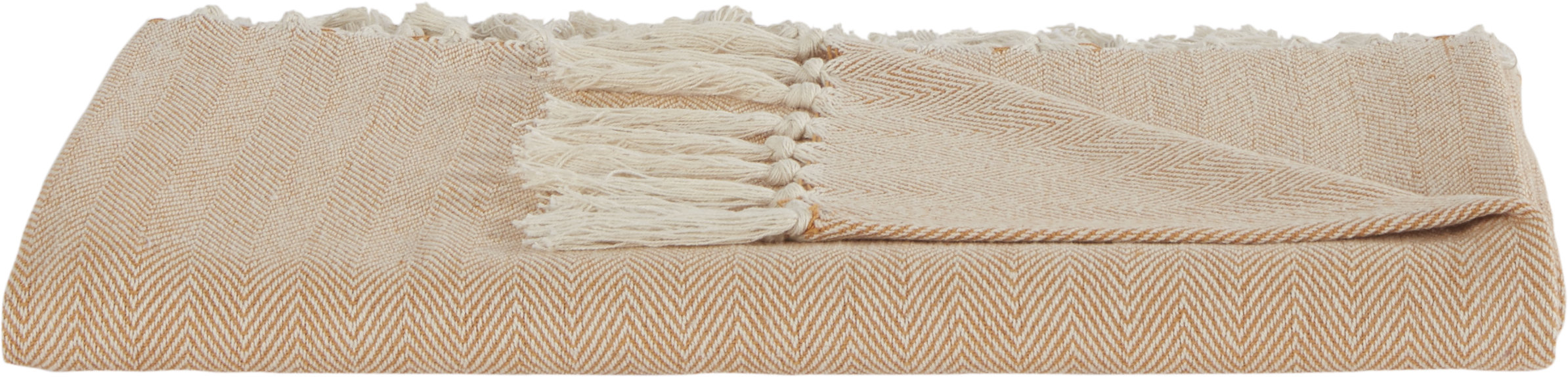 Beachcrest Home Panama City Beaches Cotton Throw Blanket & Reviews