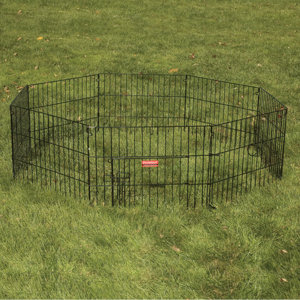 Everlasting Exercise Dog Pen with Door